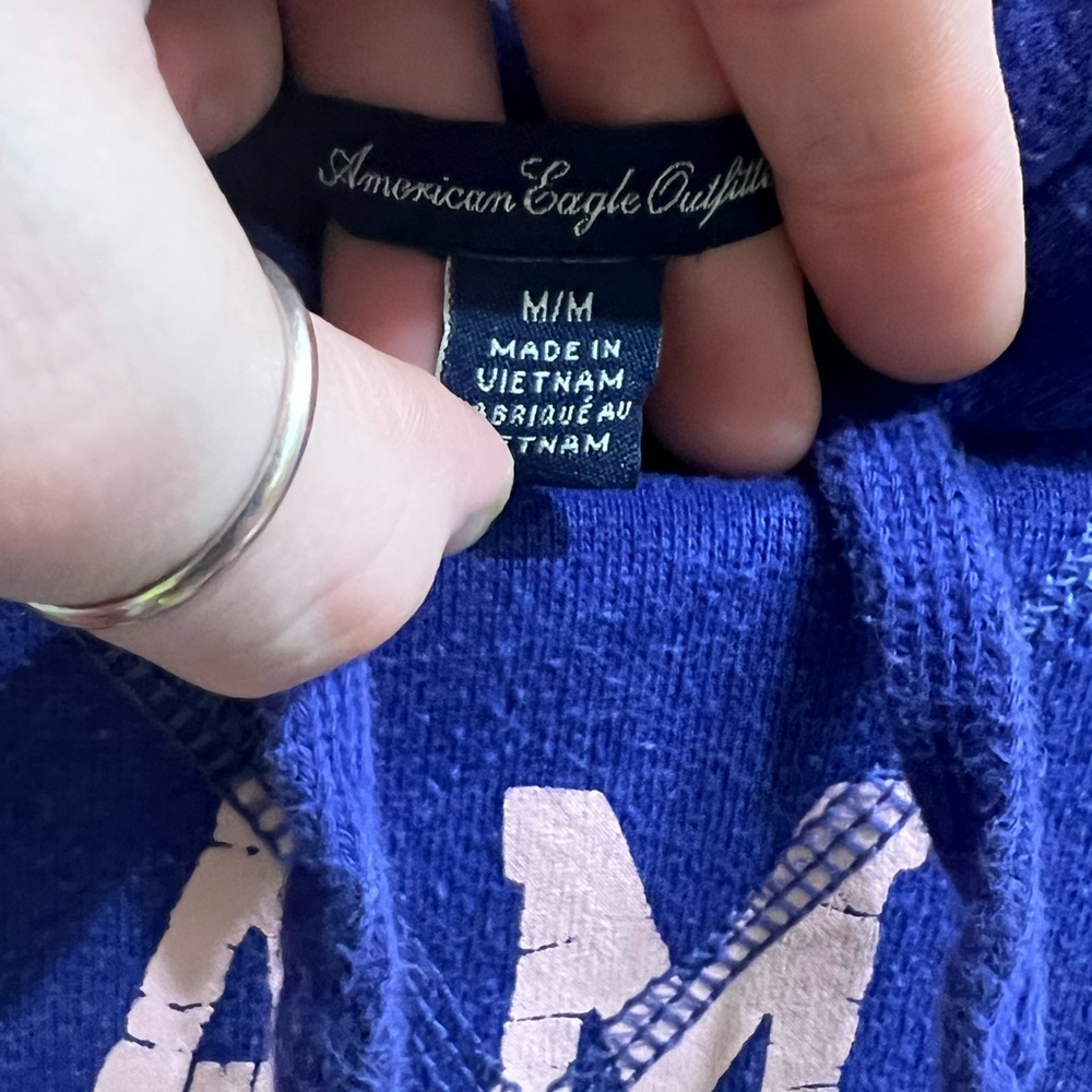 Purple American Eagle Hoodie